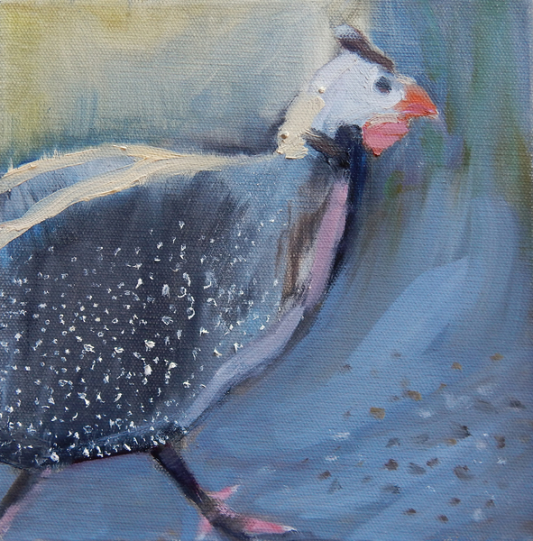 Guinea Fowl Four from Sheri Gee