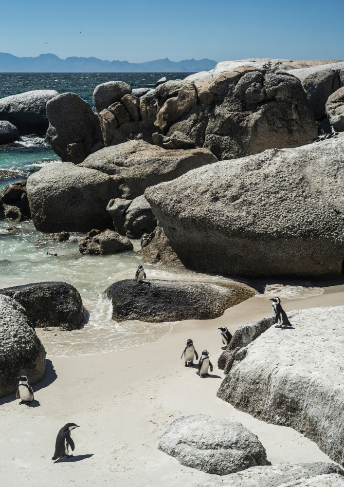 Boulders Beach from Shot by Clint