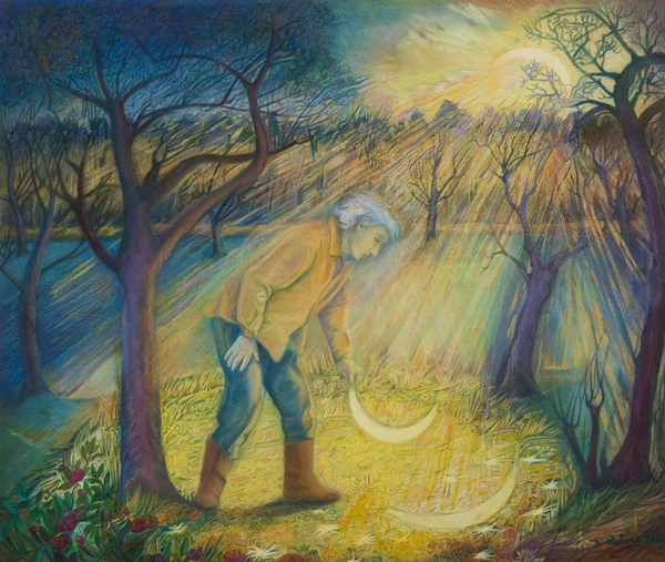 Last night in the orchard from Silvia  Pastore