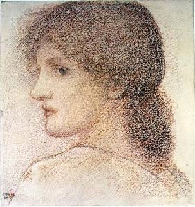 A Study of a Woman's Head, Turned to the Left