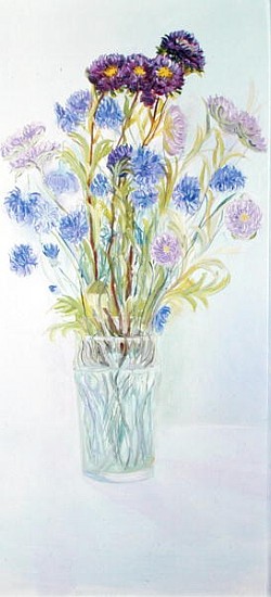 Cornflowers and Asters, 1997 (oil on board)  from Sophia  Elliot