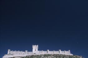 View of the castle from the Duero river valley (photo) 