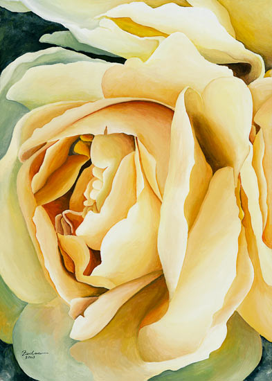 Gelbe Rose (links) from Stefanie Zachmann
