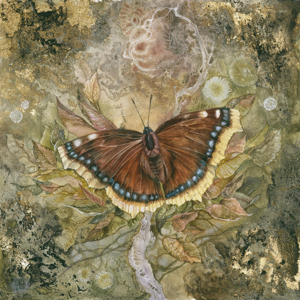 Trauermantel Schmetterling from Stephanie Law