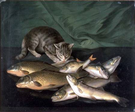 A Cat with Trout, Perch and Carp on a Ledge from Stephen Elmer