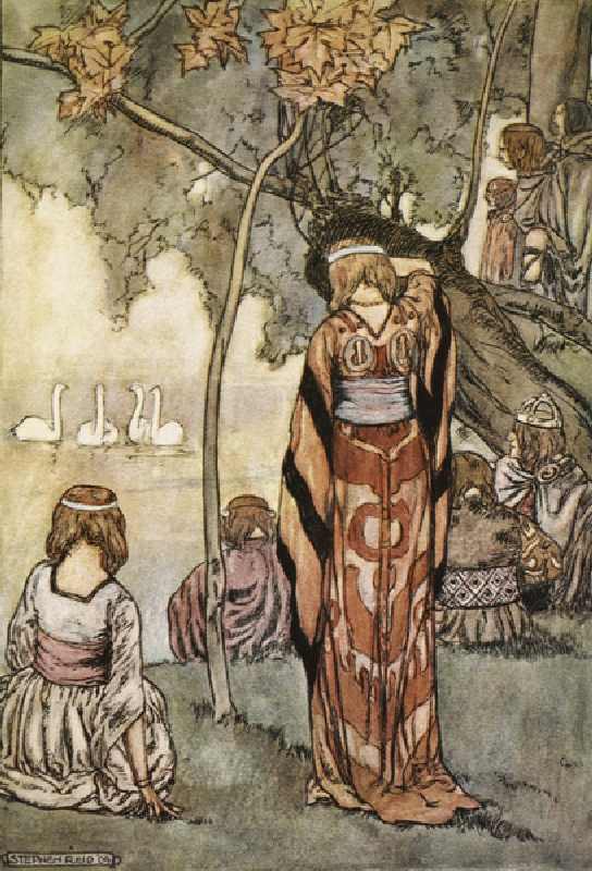 They made an encampment and the swans sang to them, illustration from The High Deeds of Finn, and ot from Stephen Reid