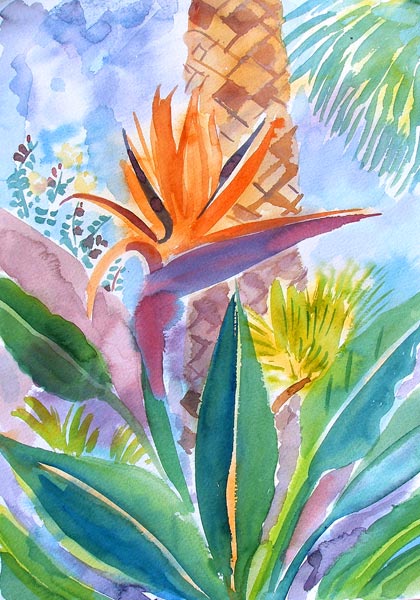 Bird of Paradise Flower from Mary Stubberfield