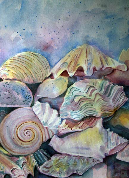 Shells from Mary Stubberfield