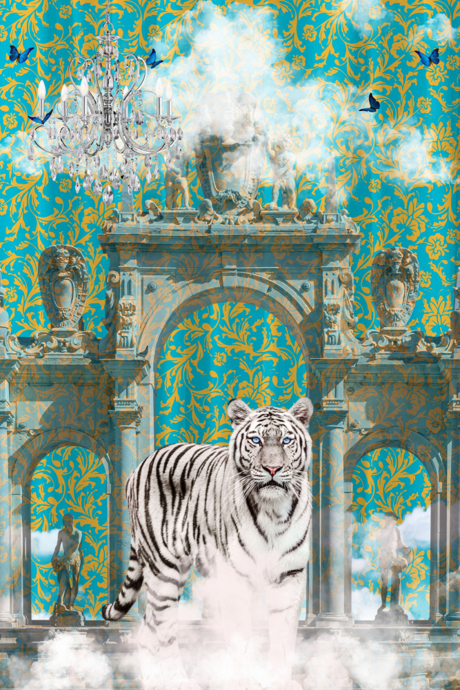 Abenteuer mit dem weißen Tiger from Sue Skellern