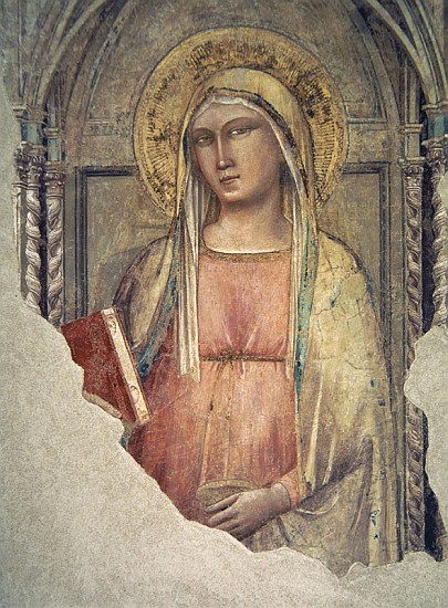 Madonna del Parto from Taddeo Gaddi