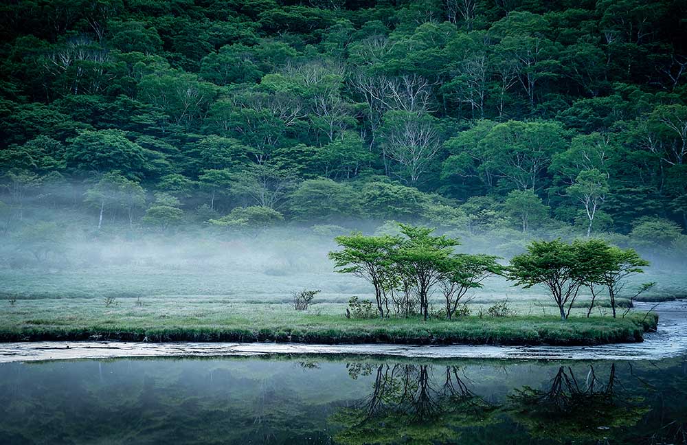 Kakumanbuchi Marsh from Teruo Araya