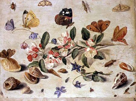 A Study of Flowers and Insects from the Elder Kessel