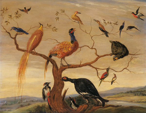 A Concert of Birds from the Elder Kessel