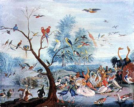 Tropical birds in a landscape from the Elder Kessel