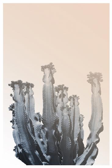 Boho-Kaktus Nr.3
