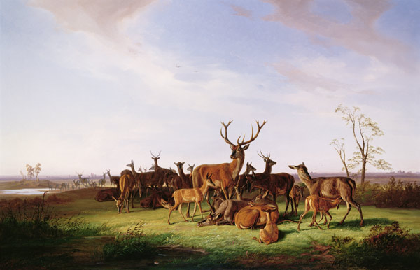 A Herd of Deer in a Sunlit Pasture from Theodor Julius Kiellerup
