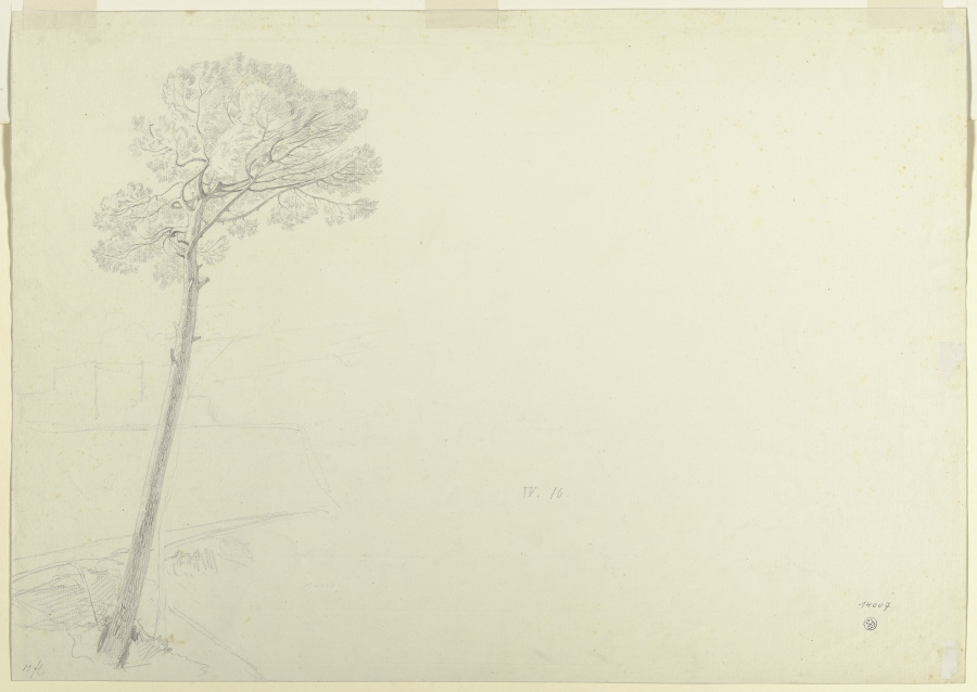 Baum in einer Landschaft from Theodor Pelissier