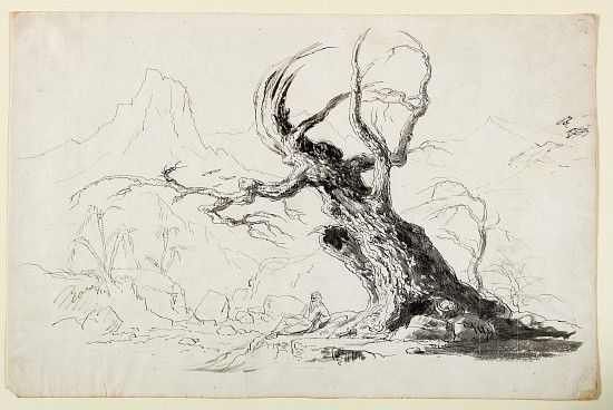 Large Gnarled Tree with Bearded Man Seated Below from Thomas Cole