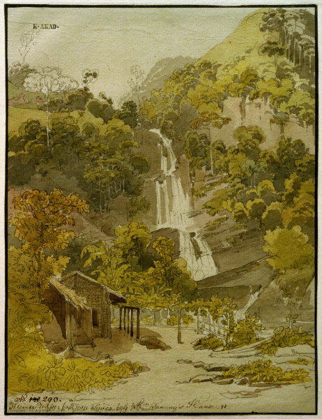Kleiner Wasserfall von Tijuca from Thomas Ender