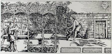 Arbour being built as a shade against the sun, from 'The Gardener's Labyrinth' from Thomas Hill