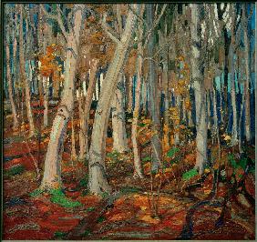 Maple Woods, Bare Trunks, 1916