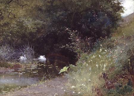 Swans on a Lake from Thomas Mackay