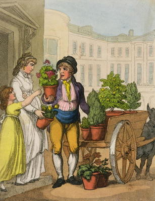 Cries of London: The Garden Pot Seller, 1799 (colour aquatint) from Thomas Rowlandson