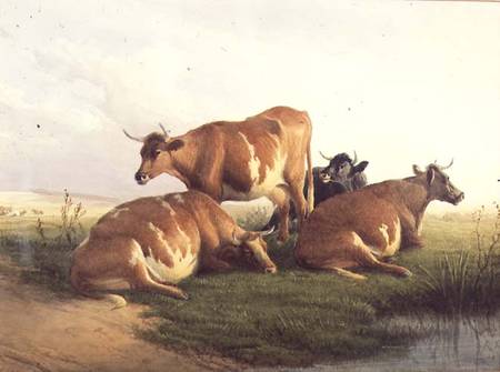 Cattle in a Landscape from Thomas Sidney Cooper