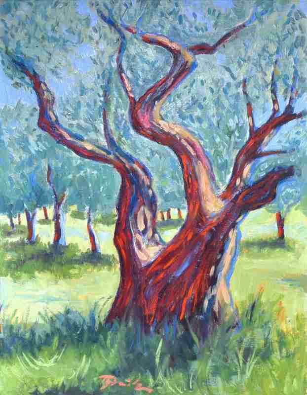 Olivenbäume bei St Rémy from Thomas Steinmetz
