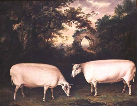 Two Prize Border Leicester Rams in a Landscape from Thomas Weaver
