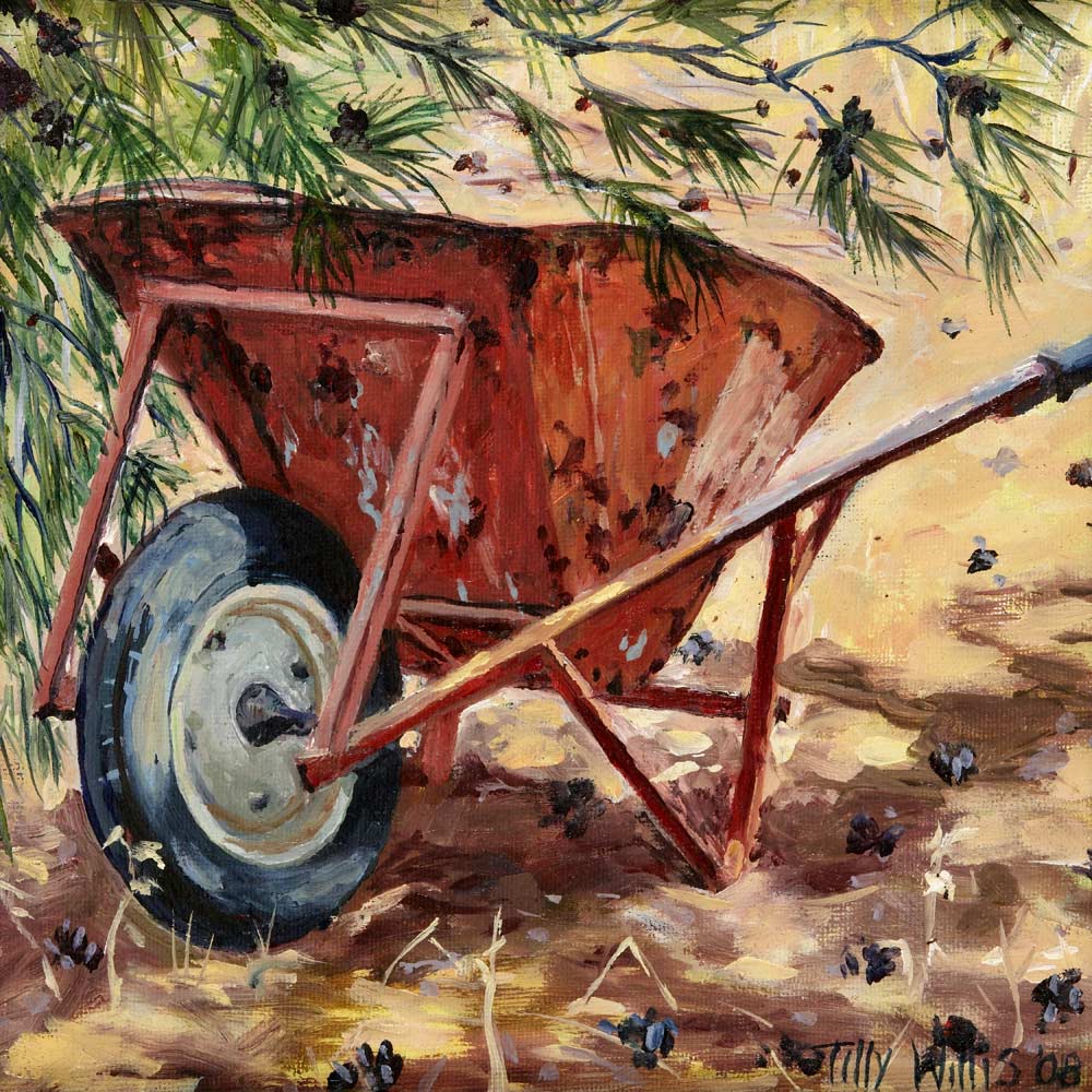 Rusty Wheelbarrow from Tilly  Willis