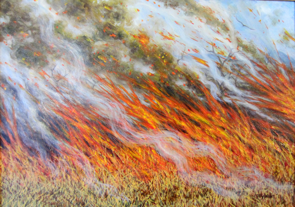 Bushfire Inferno from Tilly  Willis