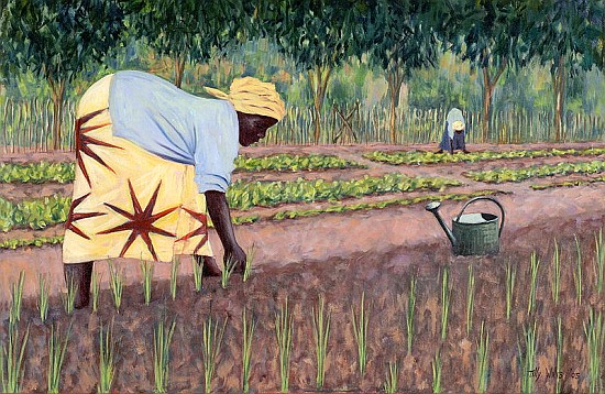 Planting Onions, 2005 (oil on canvas)  from Tilly  Willis