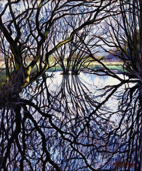 Pond Reflections from Tilly  Willis