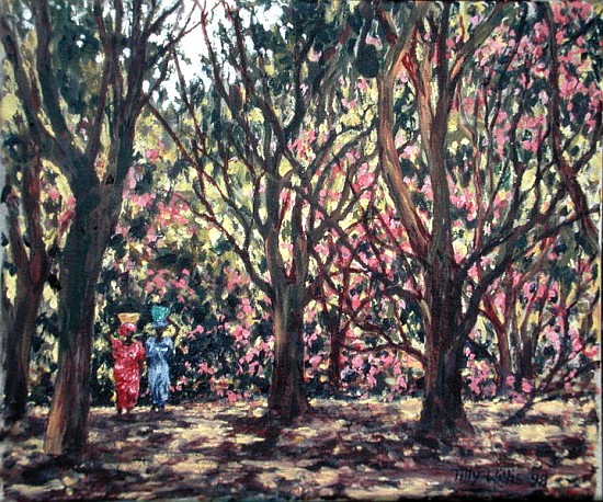 The Cashew Wood, 1998 (oil on canvas)  from Tilly  Willis