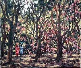 The Cashew Wood, 1998 (oil on canvas) 