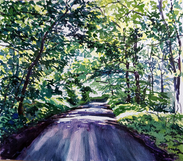 Woodland Road from Tilly  Willis