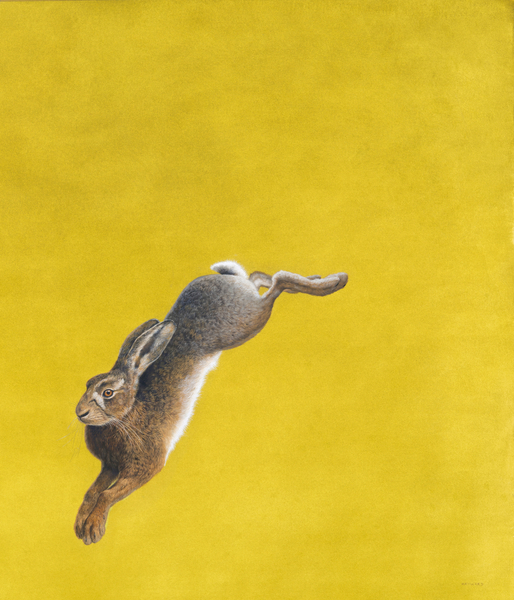 The Leap-Yellow from Tim Hayward