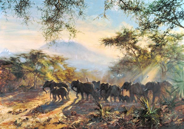 Elephant, Kilimanjaro, 1995 (oil on canvas)  from Tim  Scott Bolton