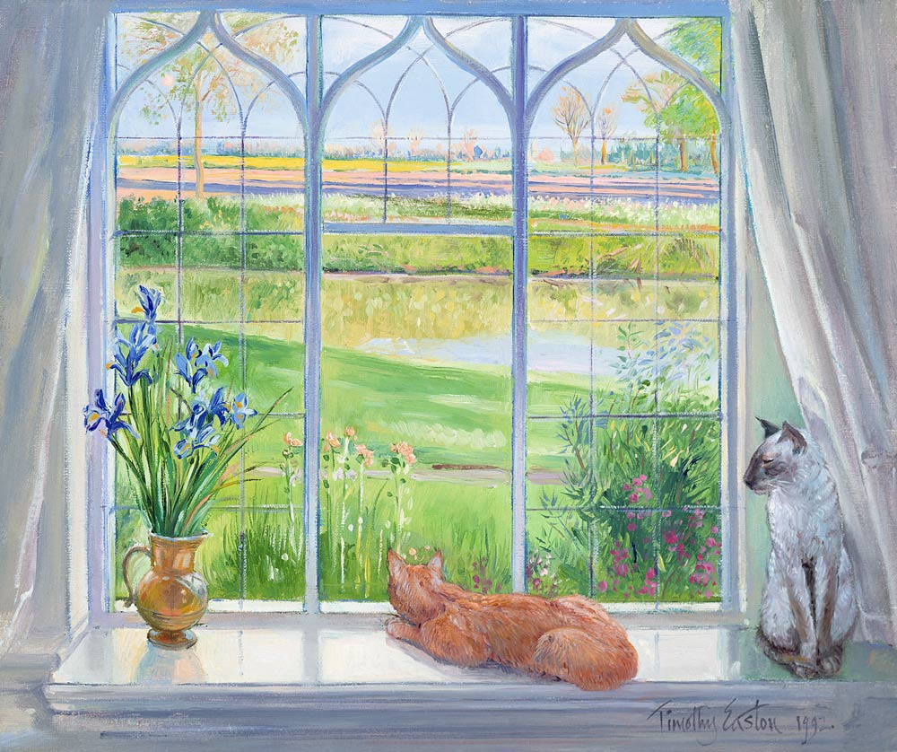 Evening Breeze  from Timothy  Easton