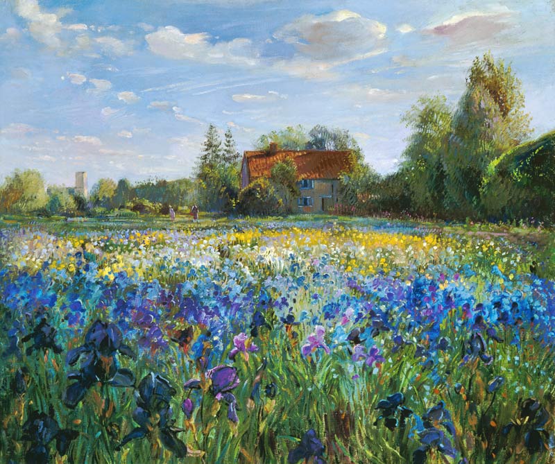 Evening at the Iris Field  from Timothy  Easton