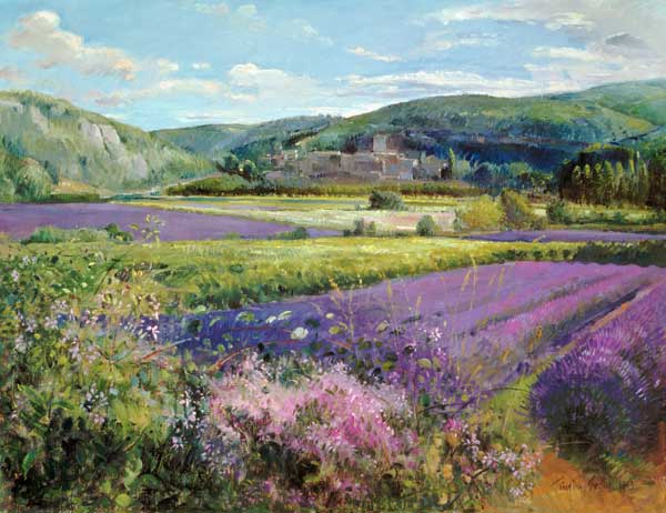 Lavender Fields in Old Provence (oil on canvas)  from Timothy  Easton
