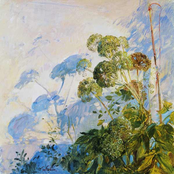 Angelica Shadows (oil on canvas)  from Timothy  Easton