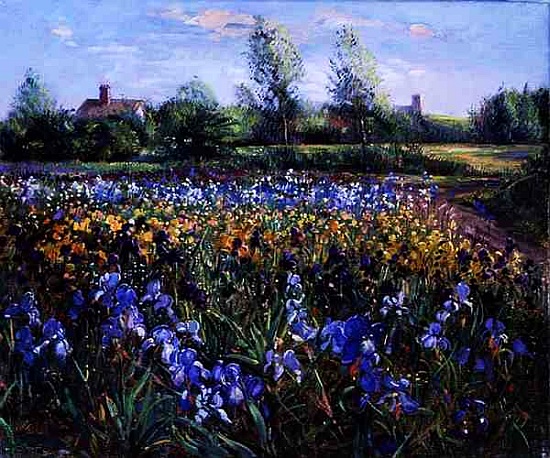 Blue and White, Irises Under an Evening Sky from Timothy  Easton