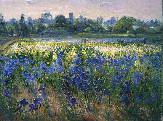Blue Haze at Burgate, 1993  from Timothy  Easton