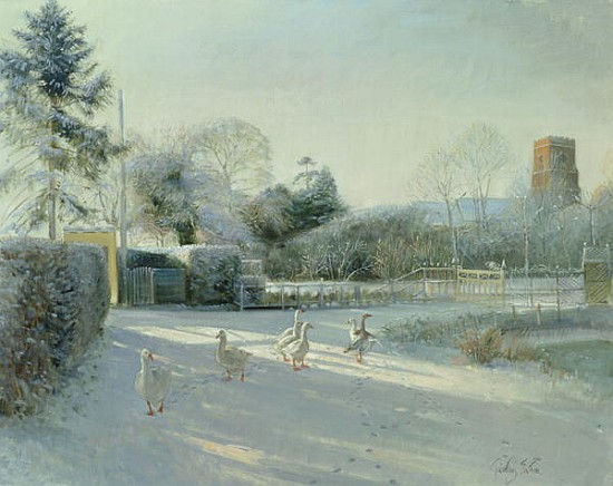 Church Boundary, Bedfield (oil on canvas)  from Timothy  Easton