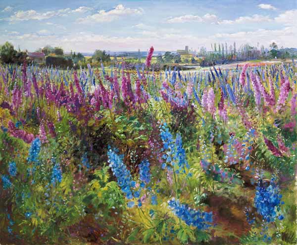 Delphinium Field and Church  from Timothy  Easton