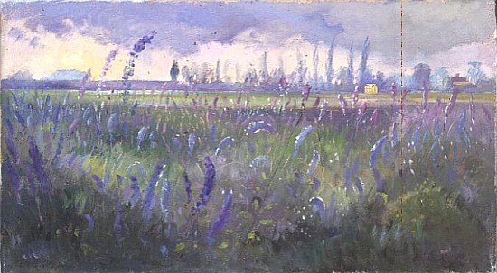 Delphiniums and Passing Storm from Timothy  Easton