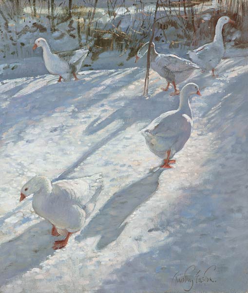 Exploring the Slope (oil on canvas)  from Timothy  Easton