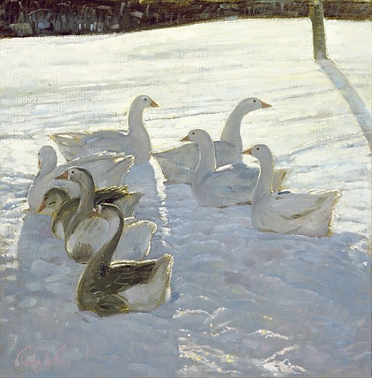 Geese Against the Light (oil on canvas)  from Timothy  Easton